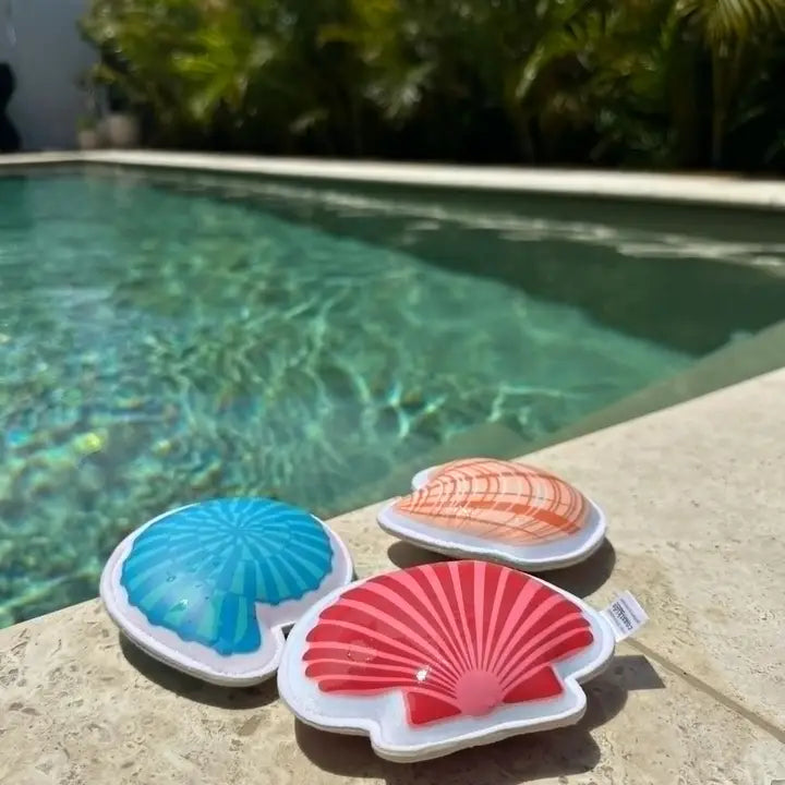 Coast Kids Shoal Bay Sinking Shells Neoprene Dive Toys