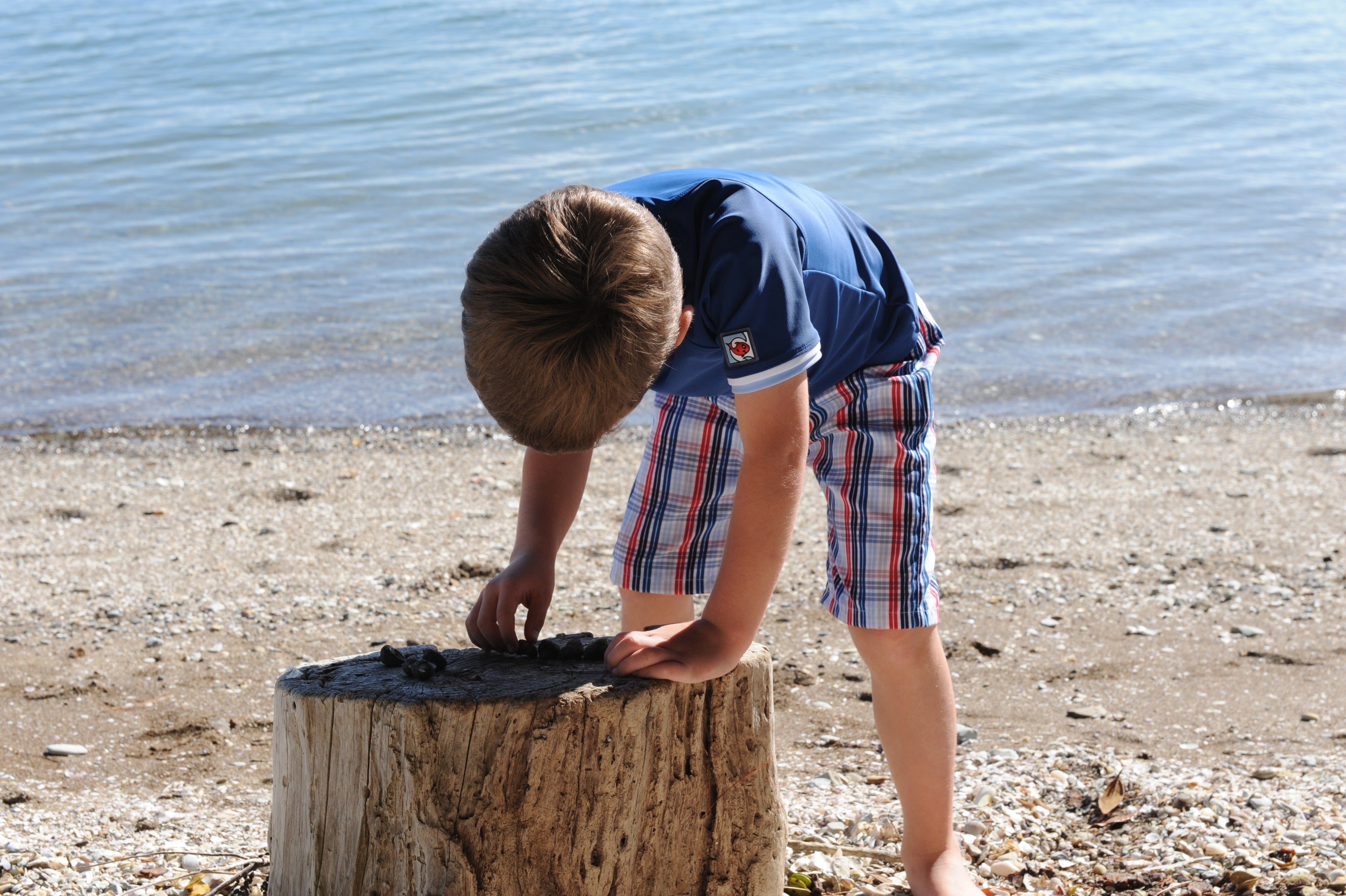 Kids Print Boardshorts