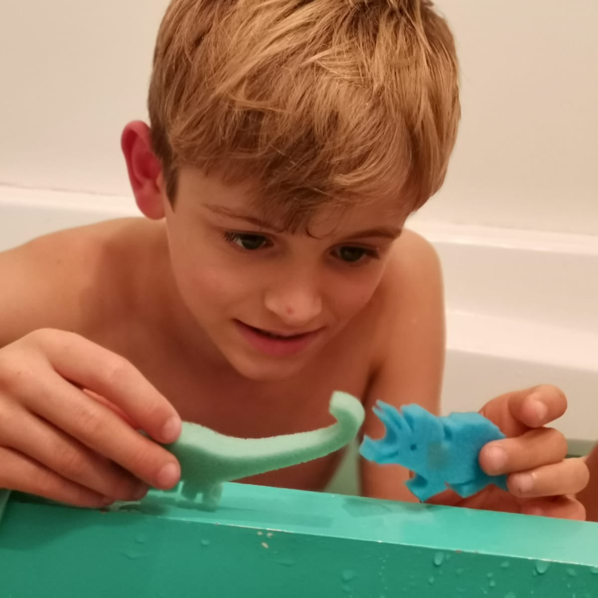 Bath Buddies Dinosaur Bath Beans®🦕