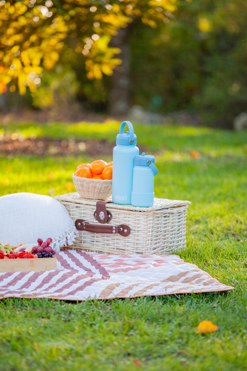 Zazi Picnic/Messy Mat